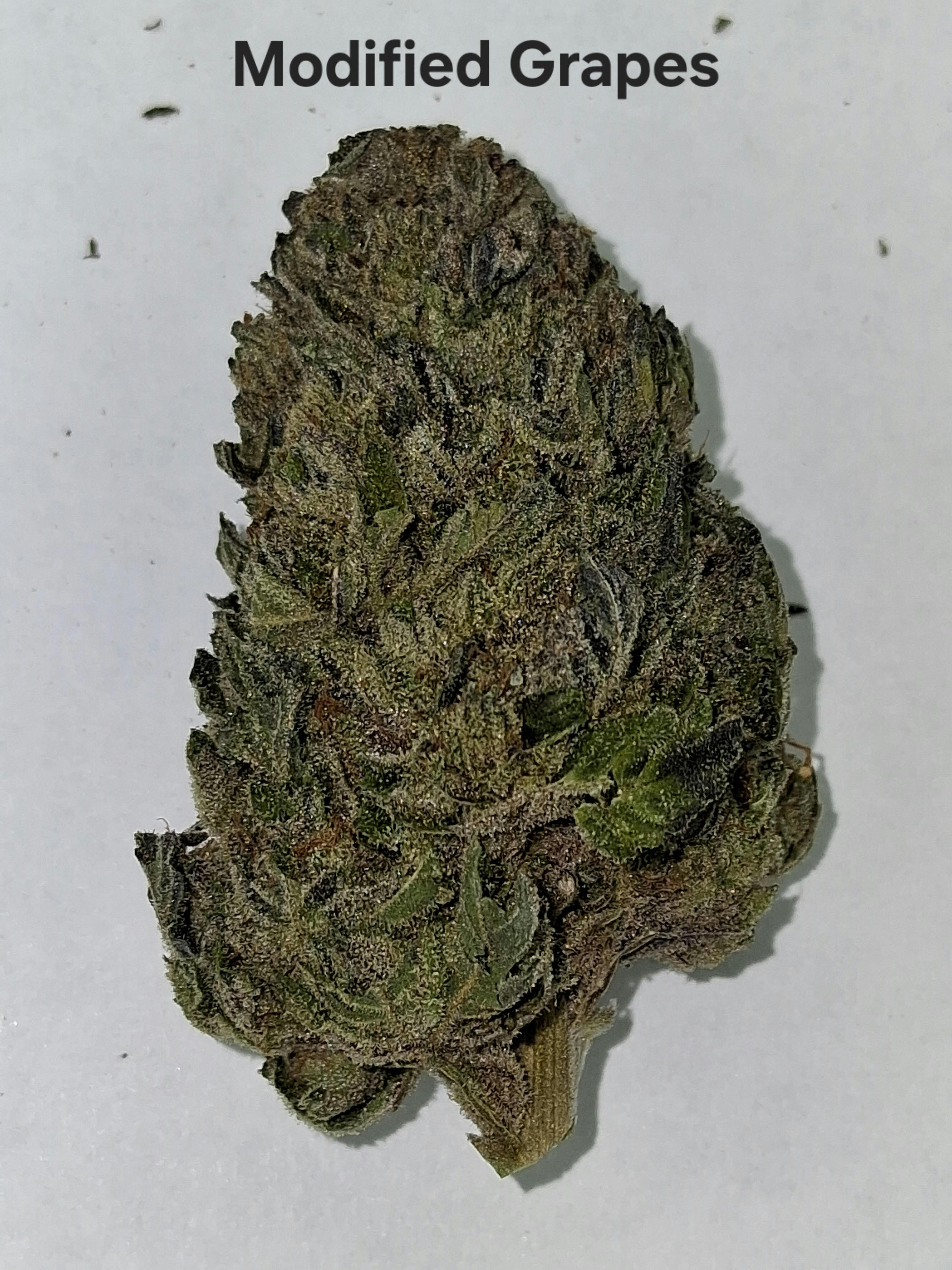 Hand Trimmed Modified: Modified Grapes