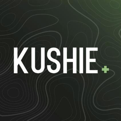 Watermelon Zlushie - Dispo-1g