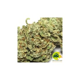 Gorilla Glue #4