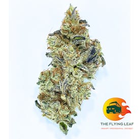 RS-11 (Rainbow Sherbert 11) - 100
