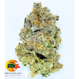 Blockberry - Blockhead Buds