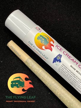 Permanent Marker - Pre Roll