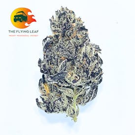 White Truffle