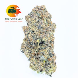 Tropicana Cookies - 100