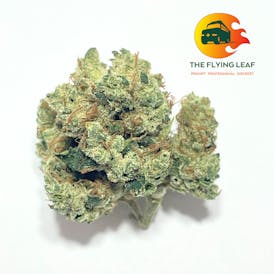 Blue Sherbert - 100