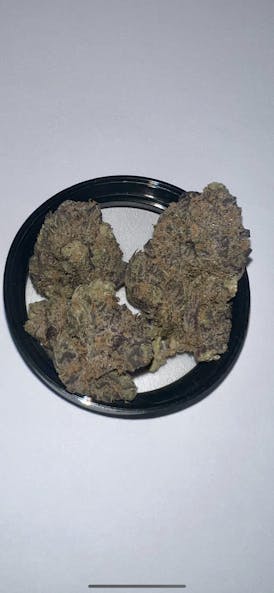 1/8 Blue Cookies Flower