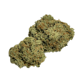 Host - Quattro Kush (25.7%)