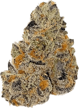 Dank by Pank - Kush Mints (23.44%)