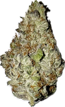 Dank by Pank - Grape Cream Cake (21.10%)