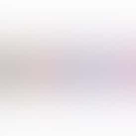 CHRONIC - BIC Lighter - Non Cannabis