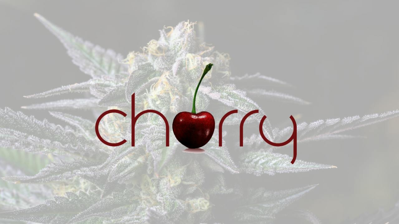 MEDICAL - Sherb Cream Pie-Cherry Colorado