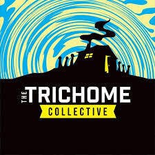 Trichome Collective - 500mg AIO Rosin Disposable