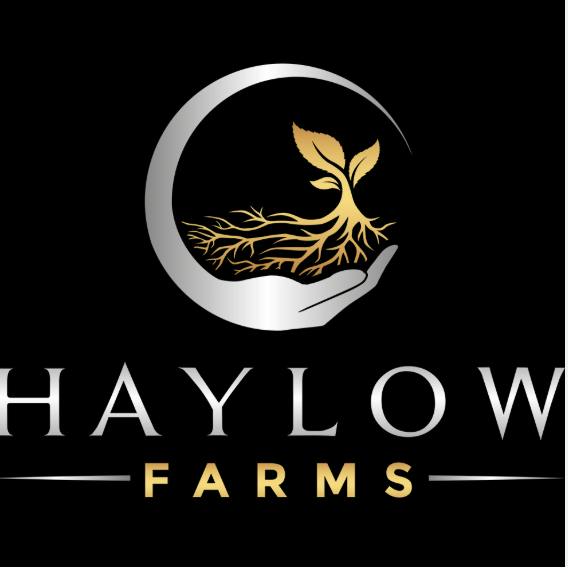 Medical-Pop Rockets-Haylow Farms