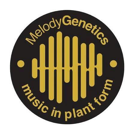 REC- SHAWDANK REDEMTION- MELODY G