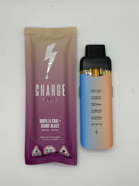 Disposable 2G - Vanilla Chai + Berry Blast