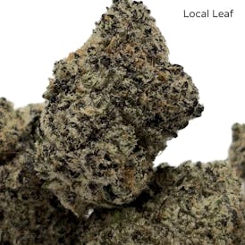 Blueberry Sugar