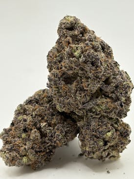 Tropicana 28G/$100
