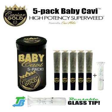 Caviar Gold- Baby Cavi — Fryday Kush
