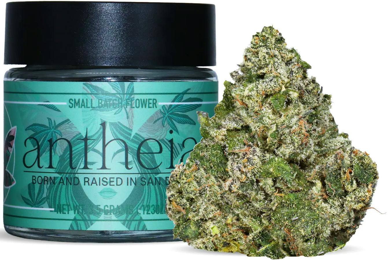 Antheia | Mission Basilica | Big Buds | 3.5g by Antheia