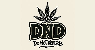 DnD (Do Not — Disturb)- Purple Gush Mintz