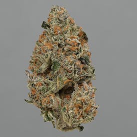 Faded | Sub Zero 3.5g