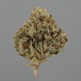 Tourma Cannabis | Motor Breath 3.5g