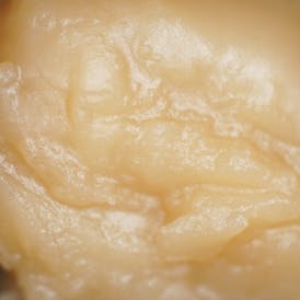 Hash Rosin - GMO