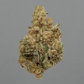 Golden Goat by JAR Cannabis Co.