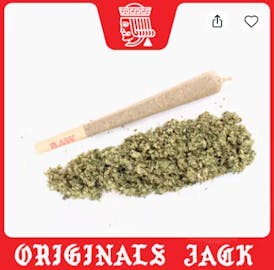 ORIGINALS | JACK HERER - 1G PREROLL