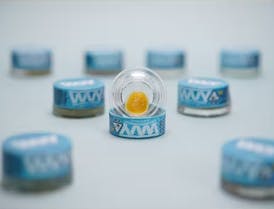 WVY | STRAWNANA MAC - 1G EXTRACT
