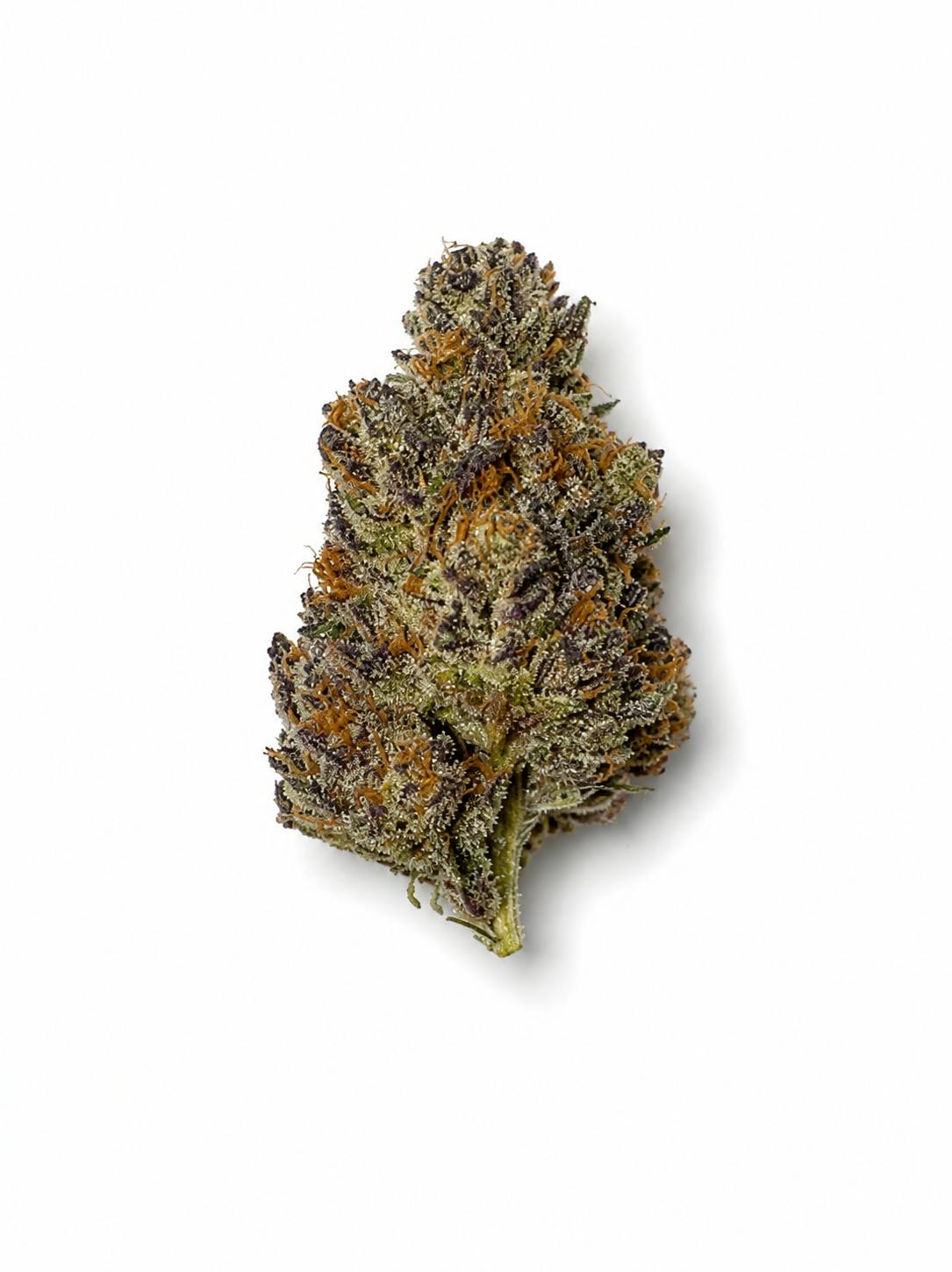 Jerry's Cake | Snowblind Select