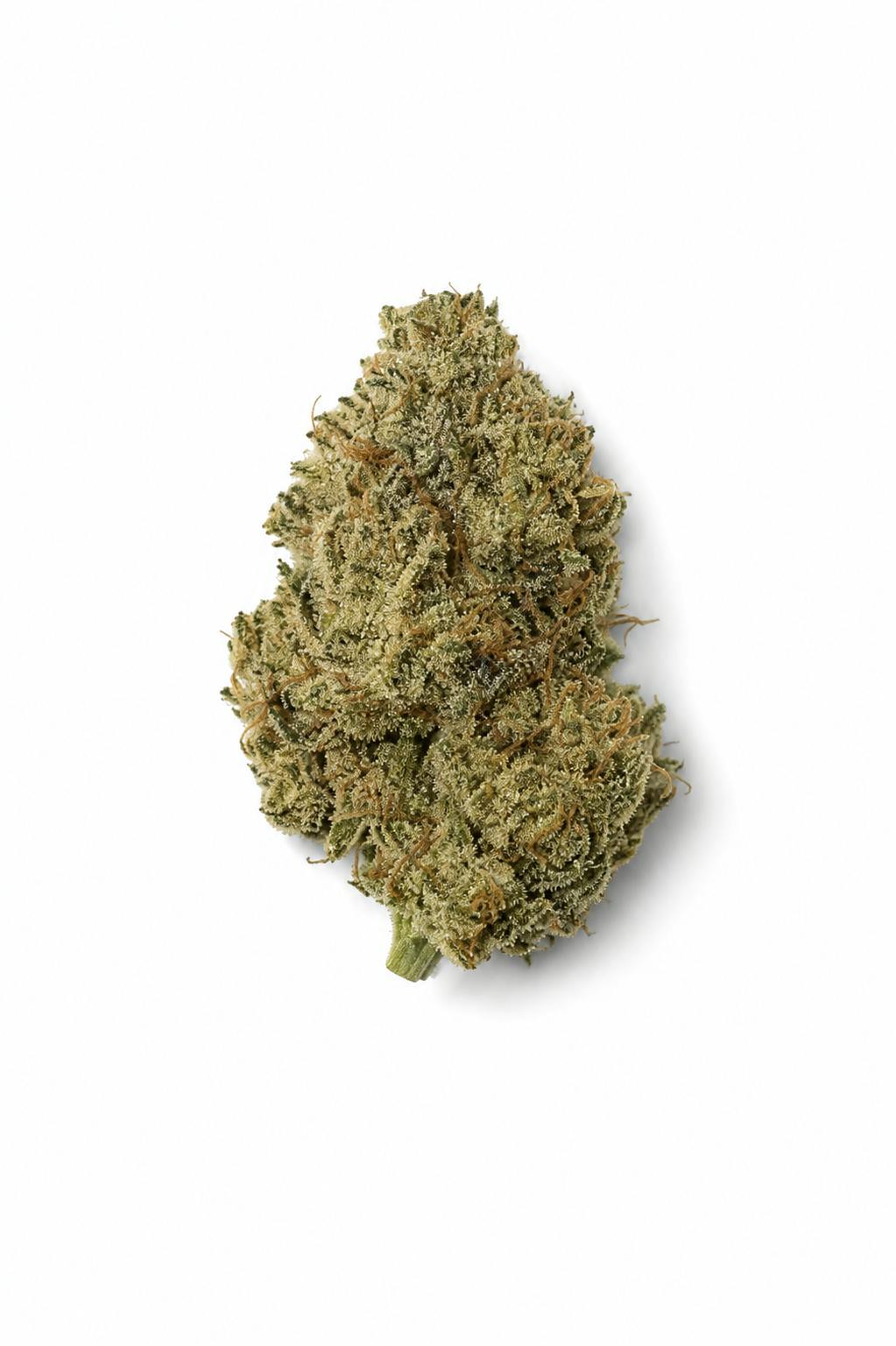 Jungle Cake | Snowblind Select