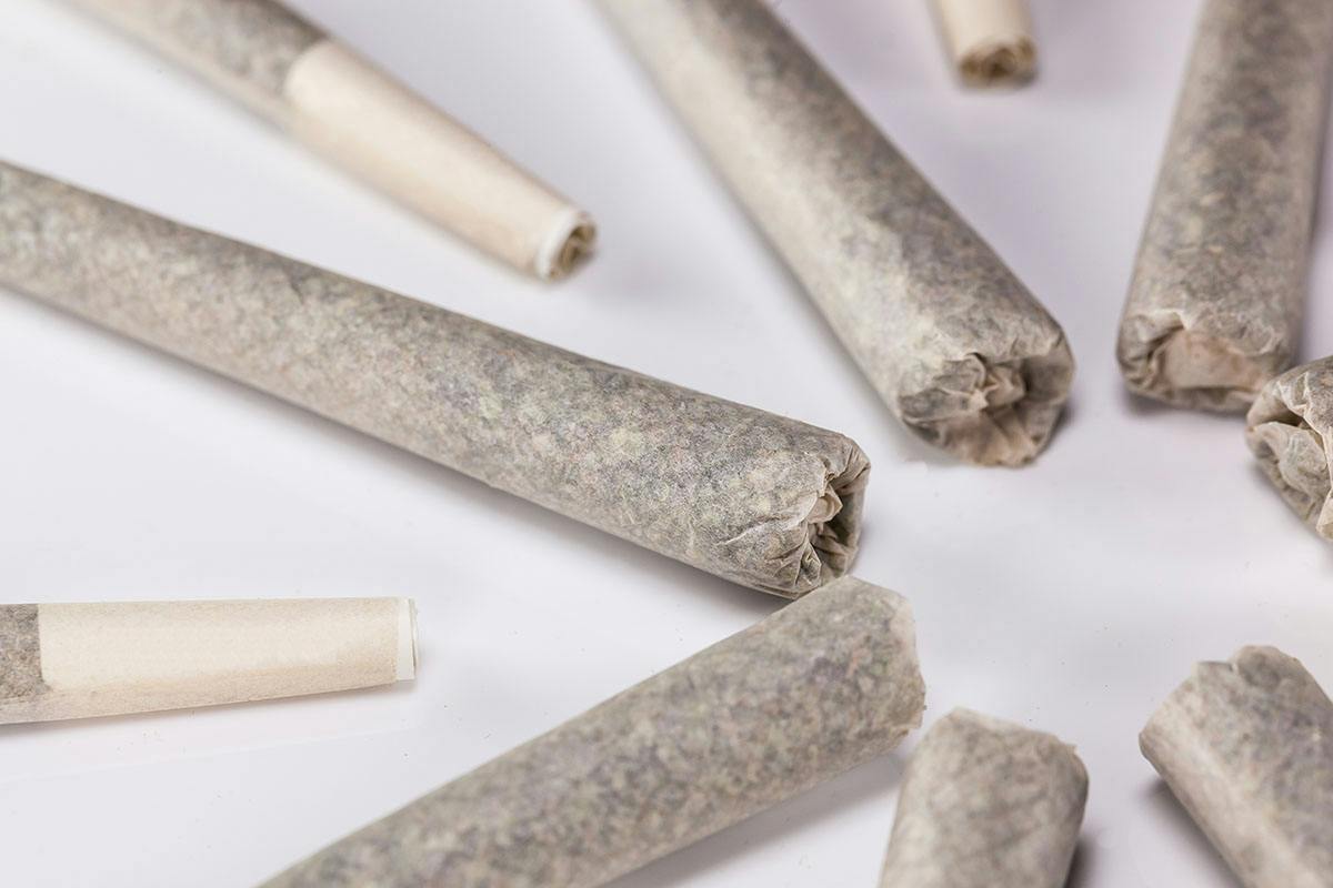 White Runtz | Joints | 1g at The House Of Dank LLC