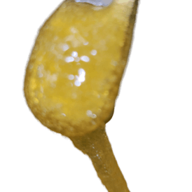 GMO Live Rosin Jam |1g| by Arctic Ice Extracts
