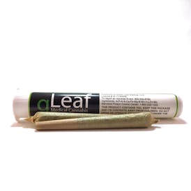 gLeaf - Tropical Runtz - 1g Preroll