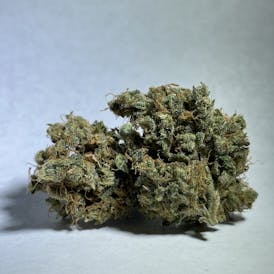 Unicorn Piss Flower