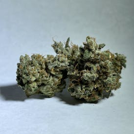 Ghost Train Haze Flower