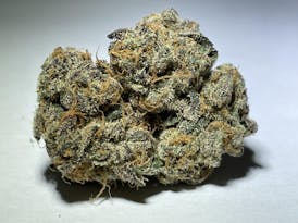 Cereal Milk