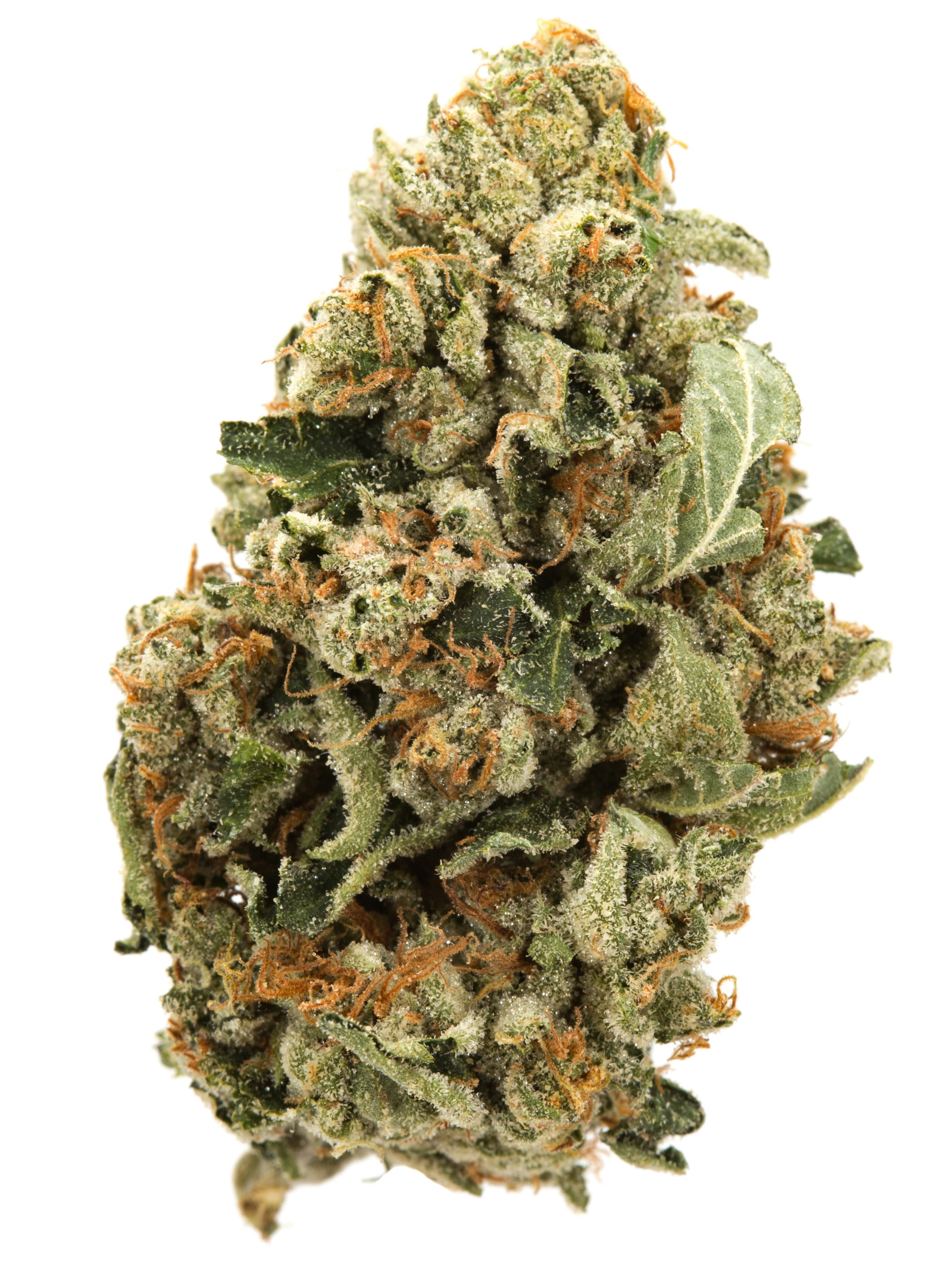 Lunch Money | 3.5g