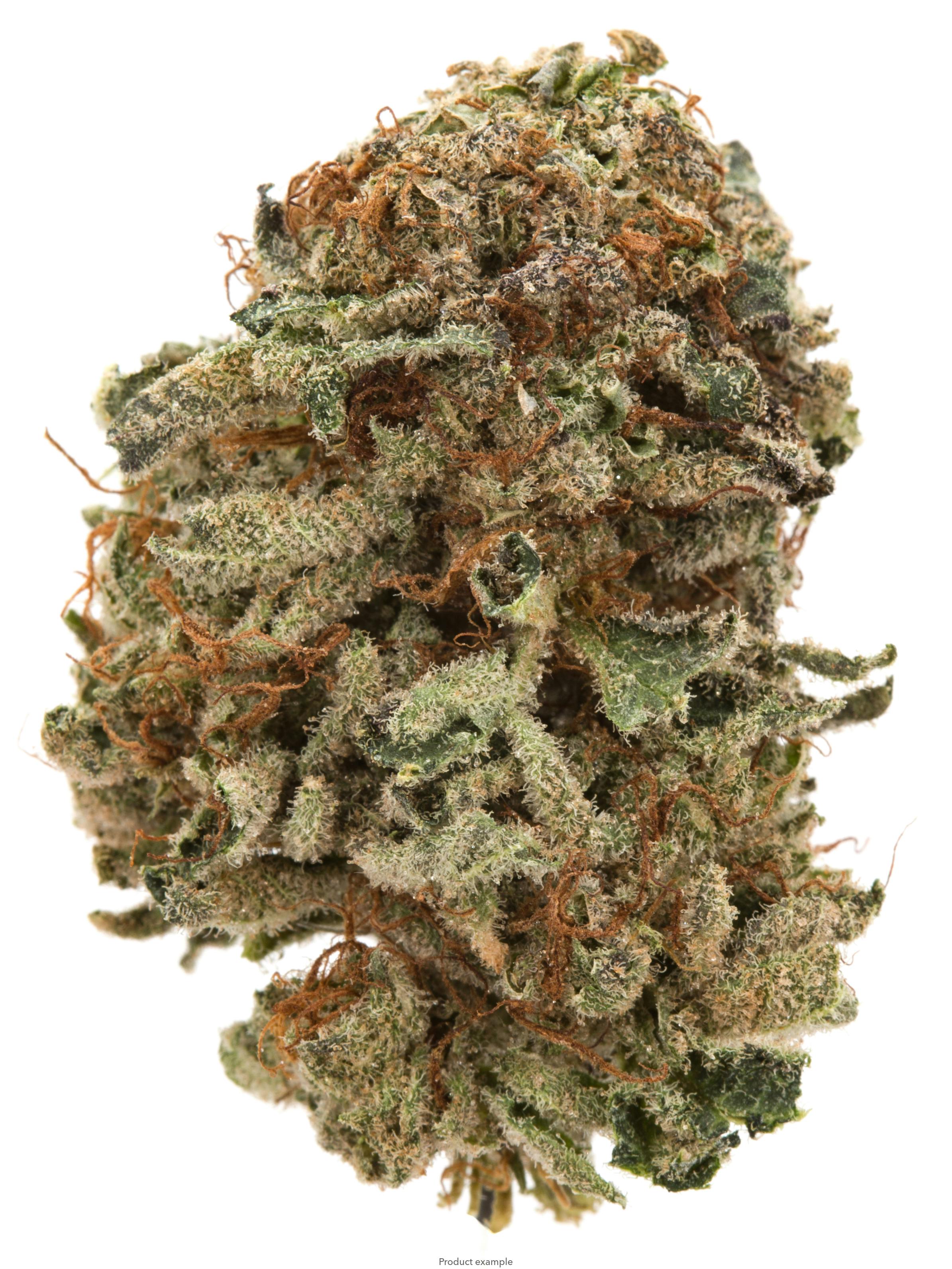 Well Rooted Genetics | Headbangerz | Big Buds | 3.5g by Well Rooted Genetics