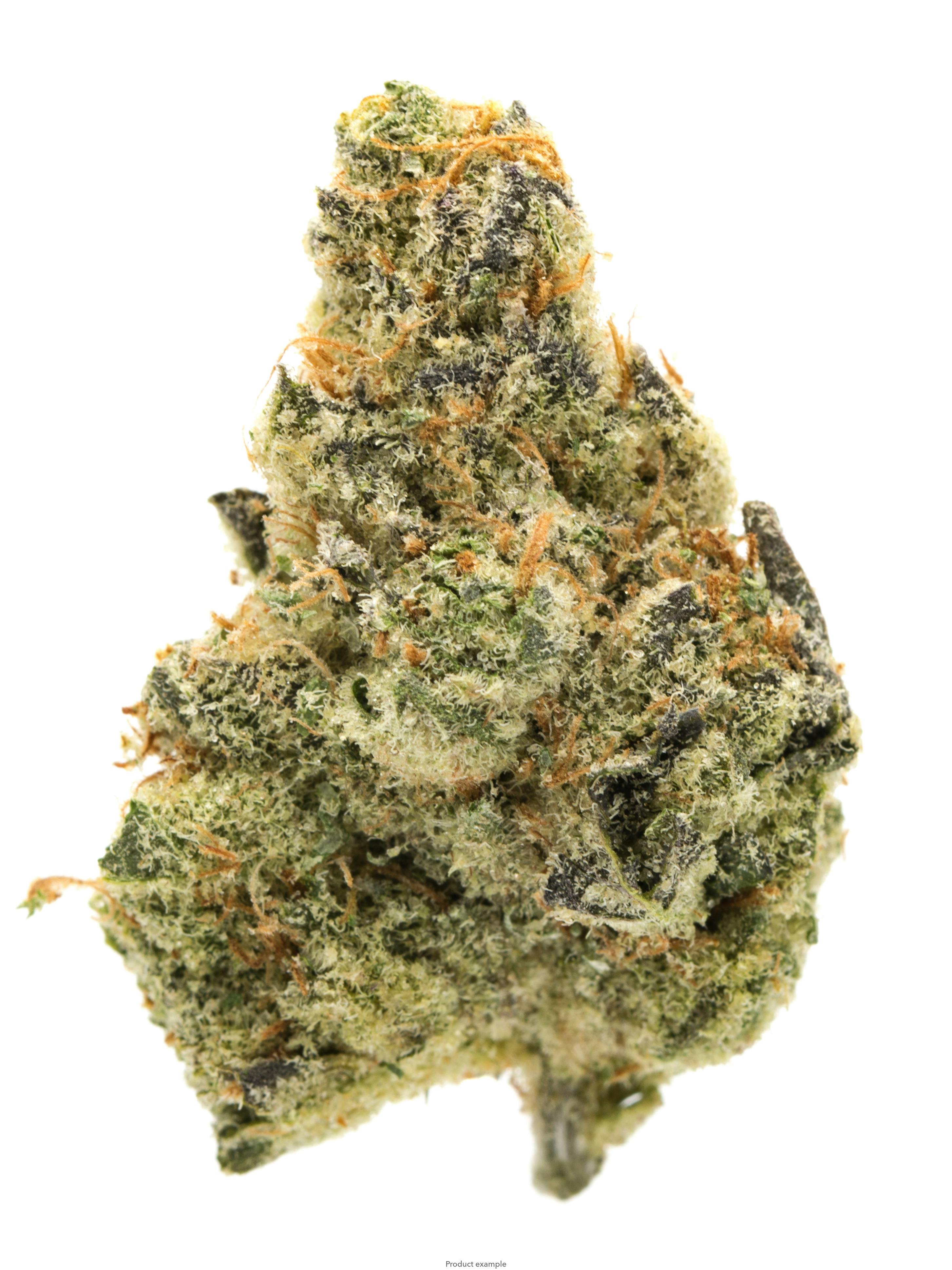Jack N' Cheese