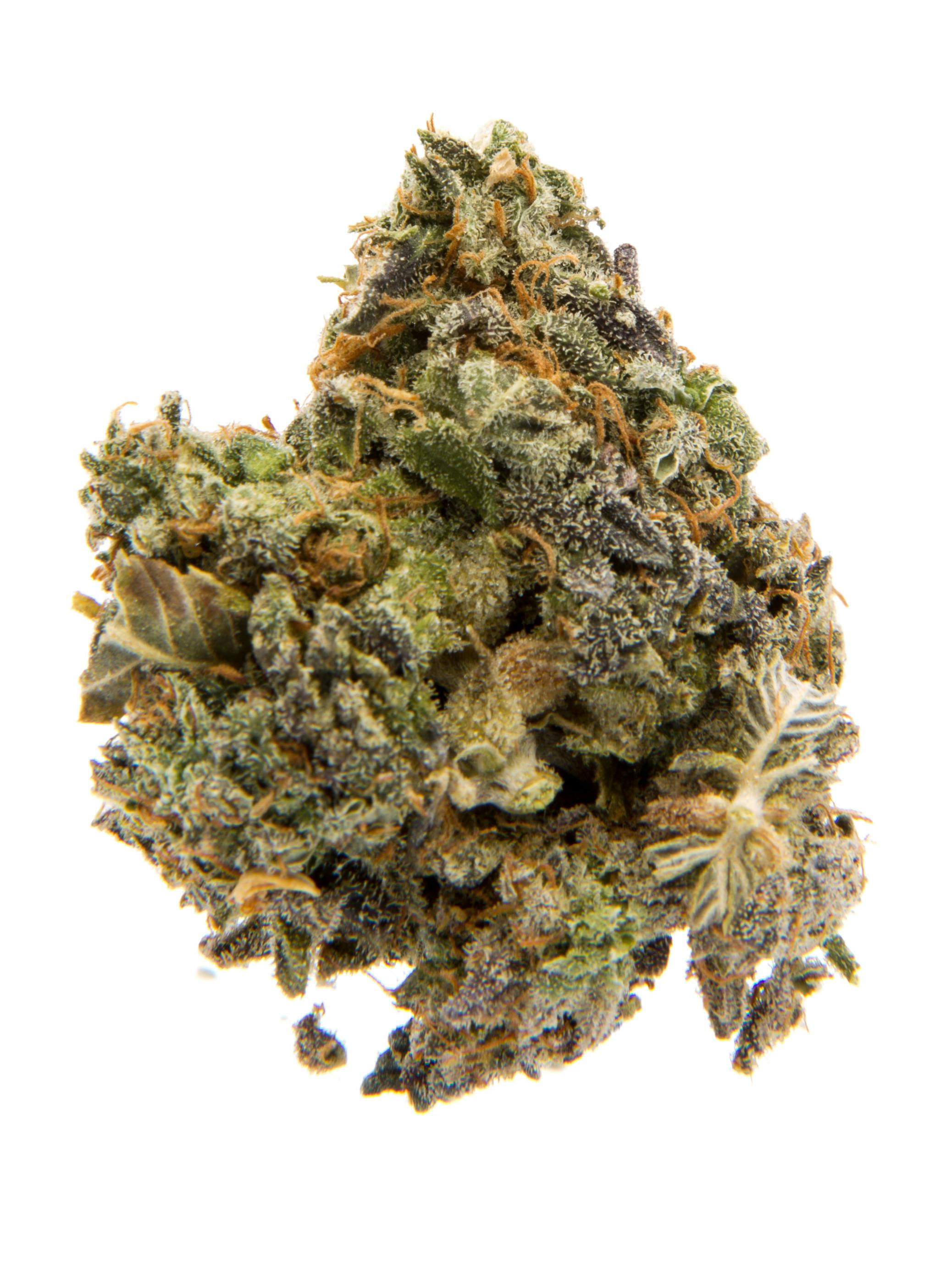 Well Rooted Genetics | Shake Shack | Flower | 3.5g