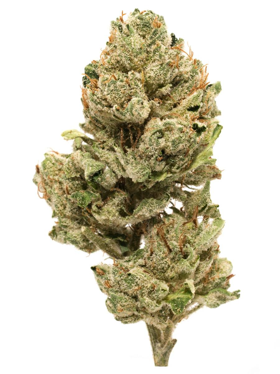 Cali Swiss Big Buds