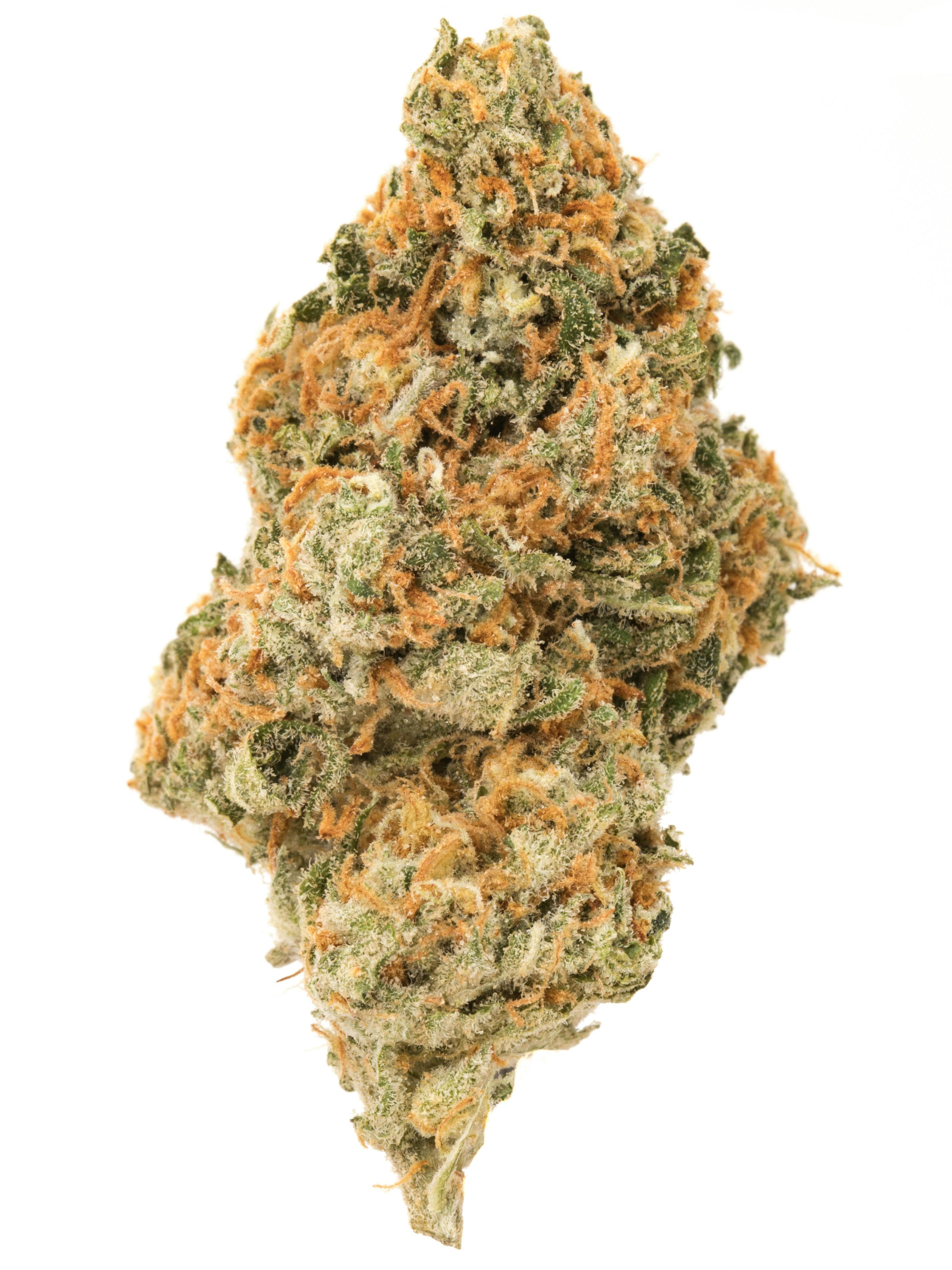 Carbon Kut Throat