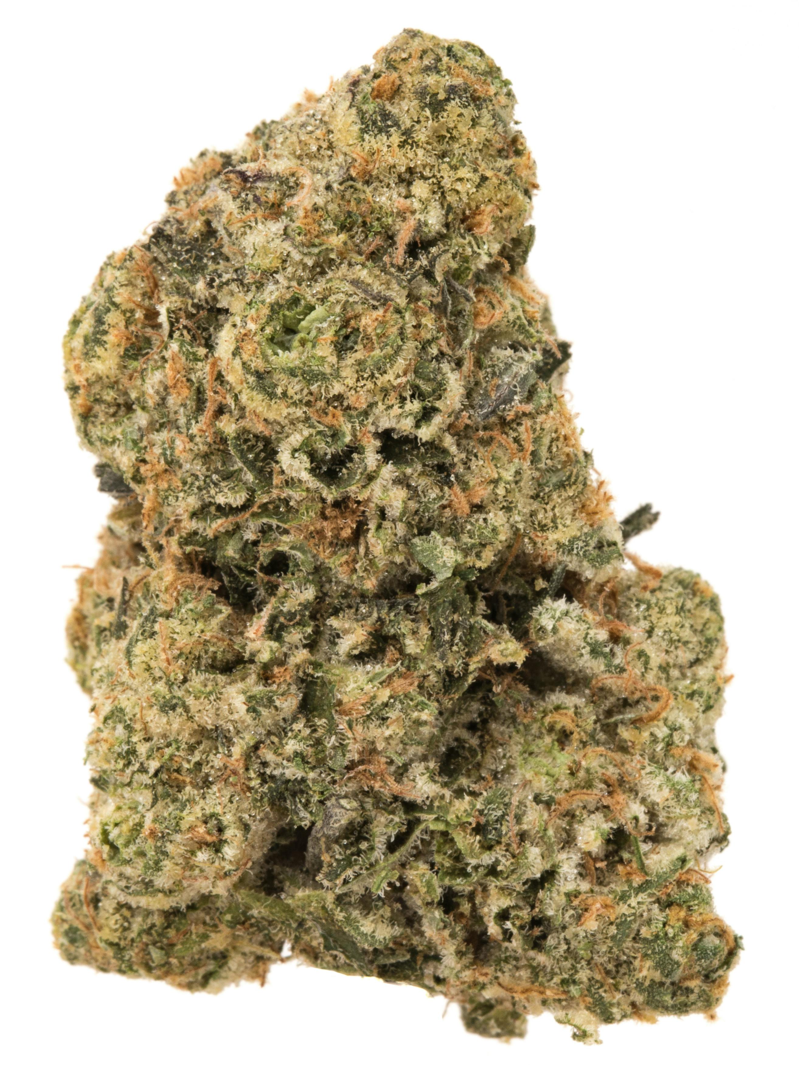 Black Cherry Gelato