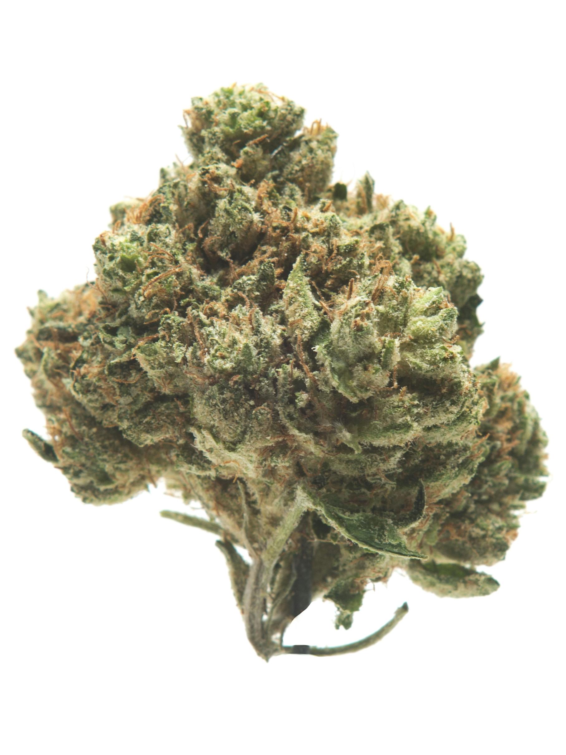 Lemon Cherry Sherb
