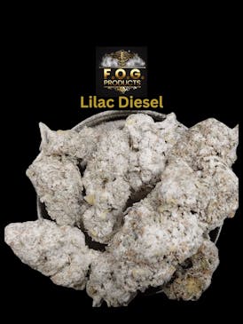 Lilac Diesel FOG Rocks! (Sativa)