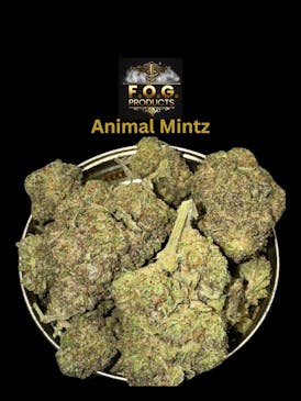 Animal Mints (Indica) *BUDGET TIER*