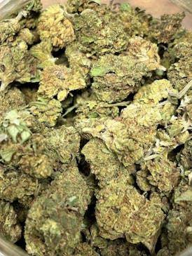 Strawnana x GMO