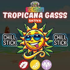 [Pre-Roll Infused] Dr. Funky's Chill Stick Tropicana GaSSS CBG/CBD 0.6g [Sativa]